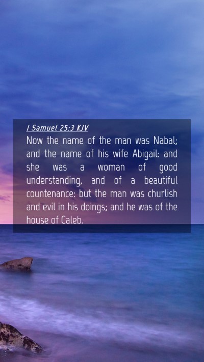 Picture 04 - 1 Samuel 25:3 KJV Mobile Phone Wallpaper - Now the name of the man was Nabal; and the name - Mobile Bible Verse Wallpaper