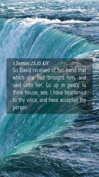 Picture 04 - 1 Samuel 25:35 KJV Mobile Phone Wallpaper - So David received of her hand that which she had - Mobile Bible Verse Wallpaper