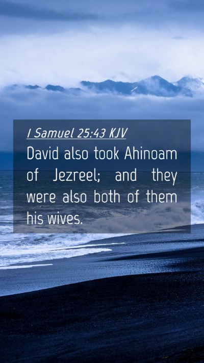 Picture 04 - 1 Samuel 25:43 KJV Mobile Phone Wallpaper - David also took Ahinoam of Jezreel; and they were - Mobile Bible Verse Wallpaper