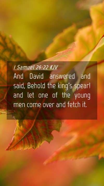 Picture 04 - 1 Samuel 26:22 KJV Mobile Phone Wallpaper - And David answered and said, Behold the king's - Mobile Bible Verse Wallpaper