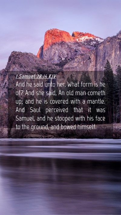 Picture 04 - 1 Samuel 28:14 KJV Mobile Phone Wallpaper - And he said unto her, What form is he of? And she - Mobile Bible Verse Wallpaper