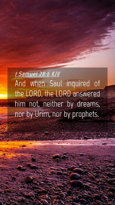 Picture 04 - 1 Samuel 28:6 KJV Mobile Phone Wallpaper - And when Saul inquired of the LORD, the LORD - Mobile Bible Verse Wallpaper