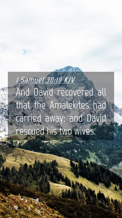 Picture 04 - 1 Samuel 30:18 KJV Mobile Phone Wallpaper - And David recovered all that the Amalekites had - Mobile Bible Verse Wallpaper