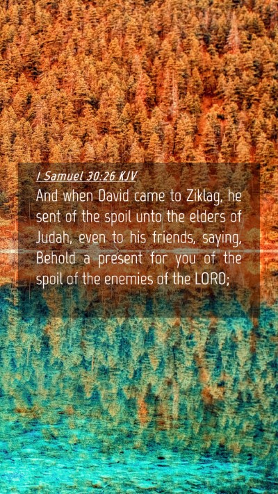 Picture 04 - 1 Samuel 30:26 KJV Mobile Phone Wallpaper - And when David came to Ziklag, he sent of the - Mobile Bible Verse Wallpaper