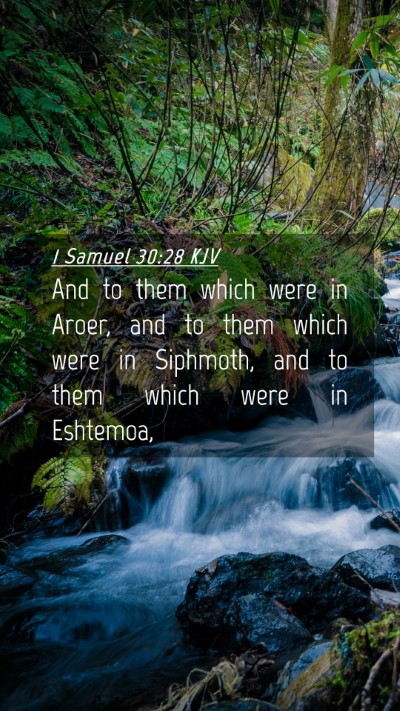 Picture 04 - 1 Samuel 30:28 KJV Mobile Phone Wallpaper - And to them which were in Aroer, and to them - Mobile Bible Verse Wallpaper