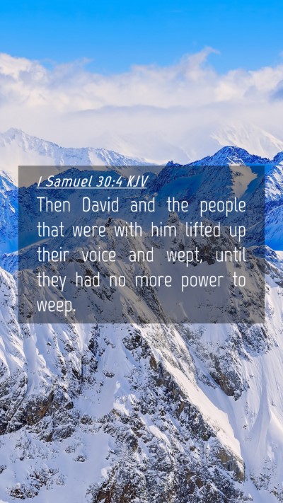 Picture 04 - 1 Samuel 30:4 KJV Mobile Phone Wallpaper - Then David and the people that were with him - Mobile Bible Verse Wallpaper