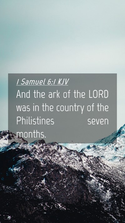 Picture 04 - 1 Samuel 6:1 KJV Mobile Phone Wallpaper - And the ark of the LORD was in the country of the - Mobile Bible Verse Wallpaper