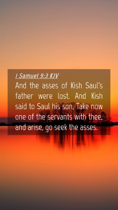 Picture 04 - 1 Samuel 9:3 KJV Mobile Phone Wallpaper - And the asses of Kish Saul's father were lost. - Mobile Bible Verse Wallpaper