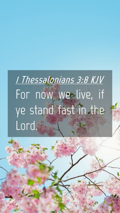 Picture 04 - 1 Thessalonians 3:8 KJV Mobile Phone Wallpaper - For now we live, if ye stand fast in the - Mobile Bible Verse Wallpaper