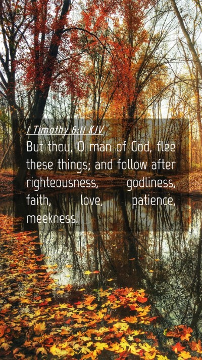 Picture 04 - 1 Timothy 6:11 KJV Mobile Phone Wallpaper - But thou, O man of God, flee these things; and - Mobile Bible Verse Wallpaper