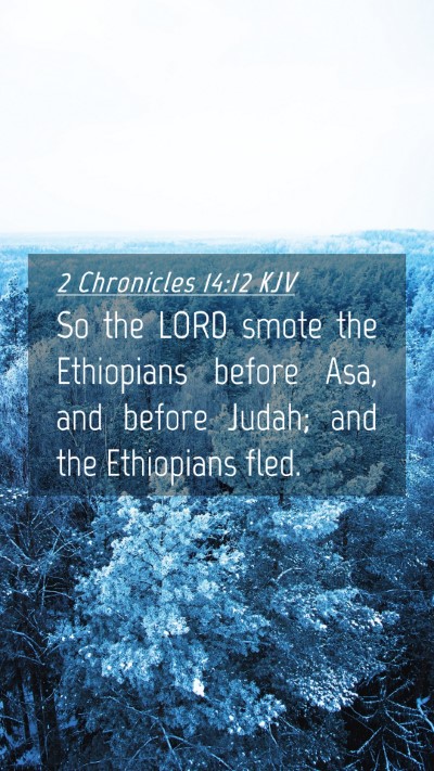 Picture 04 - 2 Chronicles 14:12 KJV Mobile Phone Wallpaper - So the LORD smote the Ethiopians before Asa, and - Mobile Bible Verse Wallpaper