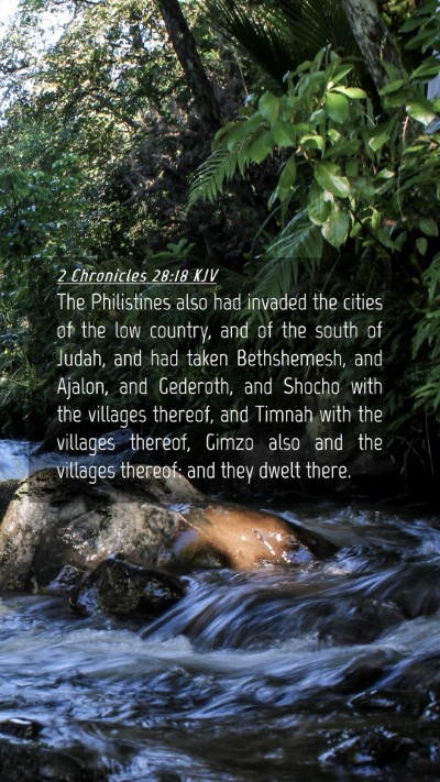 Picture 04 - 2 Chronicles 28:18 KJV Mobile Phone Wallpaper - The Philistines also had invaded the cities of - Mobile Bible Verse Wallpaper