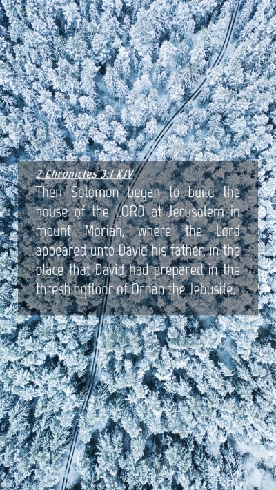 Picture 04 - 2 Chronicles 3:1 KJV Mobile Phone Wallpaper - Then Solomon began to build the house of the LORD - Mobile Bible Verse Wallpaper