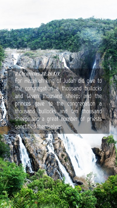 Picture 04 - 2 Chronicles 30:24 KJV Mobile Phone Wallpaper - For Hezekiah king of Judah did give to the - Mobile Bible Verse Wallpaper