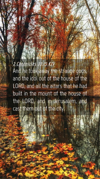 Picture 04 - 2 Chronicles 33:15 KJV Mobile Phone Wallpaper - And he took away the strange gods, and the idol - Mobile Bible Verse Wallpaper