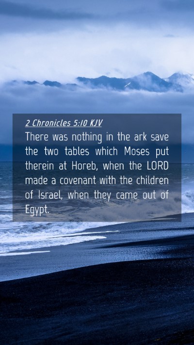 Picture 04 - 2 Chronicles 5:10 KJV Mobile Phone Wallpaper - There was nothing in the ark save the two tables - Mobile Bible Verse Wallpaper
