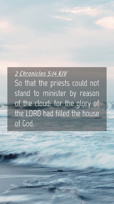 Picture 04 - 2 Chronicles 5:14 KJV Mobile Phone Wallpaper - So that the priests could not stand to minister - Mobile Bible Verse Wallpaper