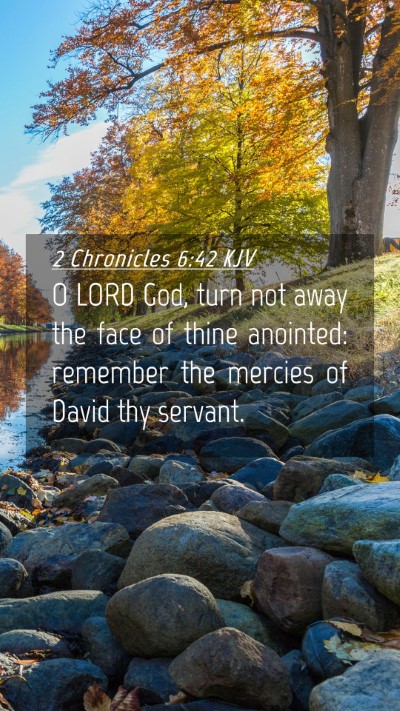 Picture 04 - 2 Chronicles 6:42 KJV Mobile Phone Wallpaper - O LORD God, turn not away the face of thine - Mobile Bible Verse Wallpaper