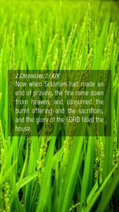 Picture 04 - 2 Chronicles 7:1 KJV Mobile Phone Wallpaper - Now when Solomon had made an end of praying, the - Mobile Bible Verse Wallpaper