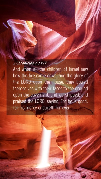 Picture 04 - 2 Chronicles 7:3 KJV Mobile Phone Wallpaper - And when all the children of Israel saw how the - Mobile Bible Verse Wallpaper