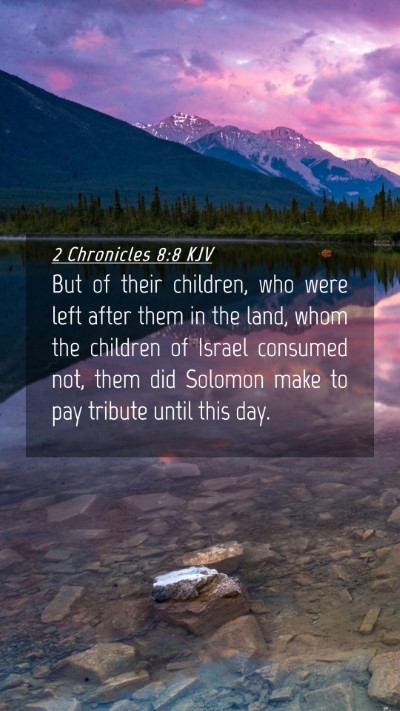 Picture 04 - 2 Chronicles 8:8 KJV Mobile Phone Wallpaper - But of their children, who were left after them - Mobile Bible Verse Wallpaper
