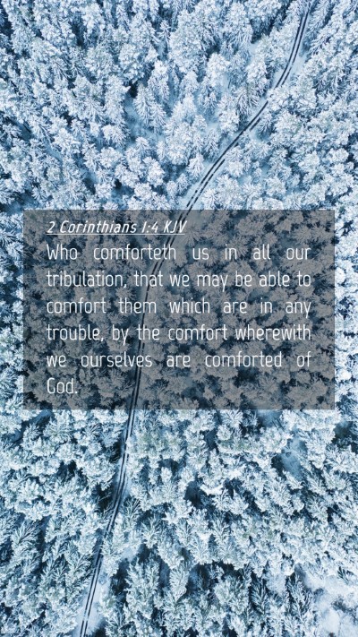 Picture 04 - 2 Corinthians 1:4 KJV Mobile Phone Wallpaper - Who comforteth us in all our tribulation, that we - Mobile Bible Verse Wallpaper