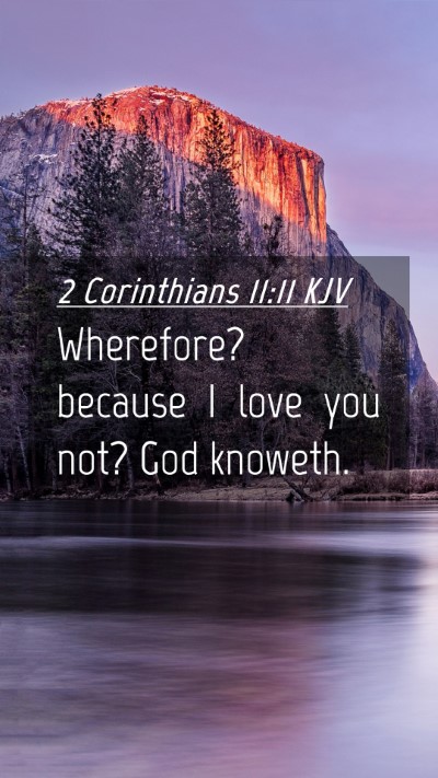 Picture 04 - 2 Corinthians 11:11 KJV Mobile Phone Wallpaper - Wherefore? because I love you not? God - Mobile Bible Verse Wallpaper