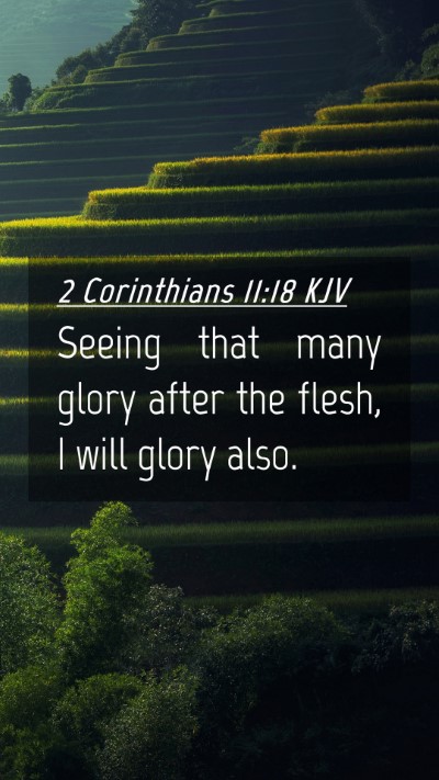 Picture 04 - 2 Corinthians 11:18 KJV Mobile Phone Wallpaper - Seeing that many glory after the flesh, I will - Mobile Bible Verse Wallpaper