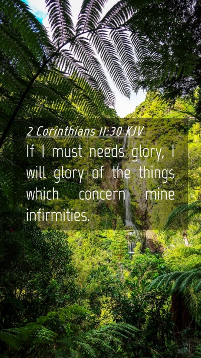 Picture 04 - 2 Corinthians 11:30 KJV Mobile Phone Wallpaper - If I must needs glory, I will glory of the things - Mobile Bible Verse Wallpaper
