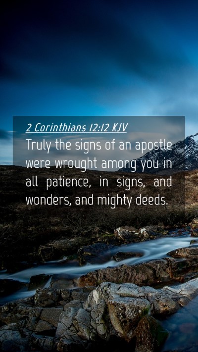 Picture 04 - 2 Corinthians 12:12 KJV Mobile Phone Wallpaper - Truly the signs of an apostle were wrought among - Mobile Bible Verse Wallpaper