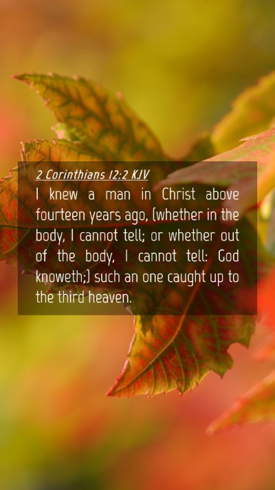 Picture 04 - 2 Corinthians 12:2 KJV Mobile Phone Wallpaper - I knew a man in Christ above fourteen years ago, - Mobile Bible Verse Wallpaper