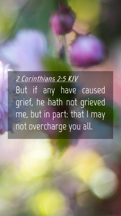 Picture 04 - 2 Corinthians 2:5 KJV Mobile Phone Wallpaper - But if any have caused grief, he hath not grieved - Mobile Bible Verse Wallpaper