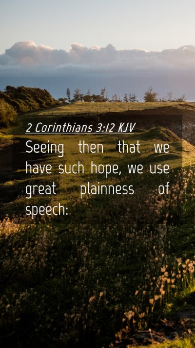 Picture 04 - 2 Corinthians 3:12 KJV Mobile Phone Wallpaper - Seeing then that we have such hope, we use great - Mobile Bible Verse Wallpaper