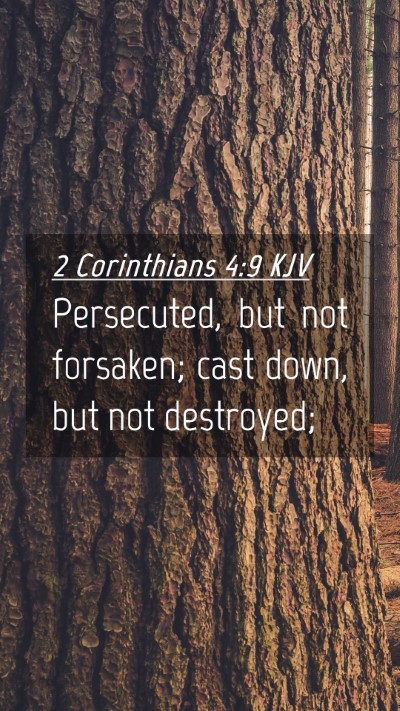 Picture 04 - 2 Corinthians 4:9 KJV Mobile Phone Wallpaper - Persecuted, but not forsaken; cast down, but not - Mobile Bible Verse Wallpaper