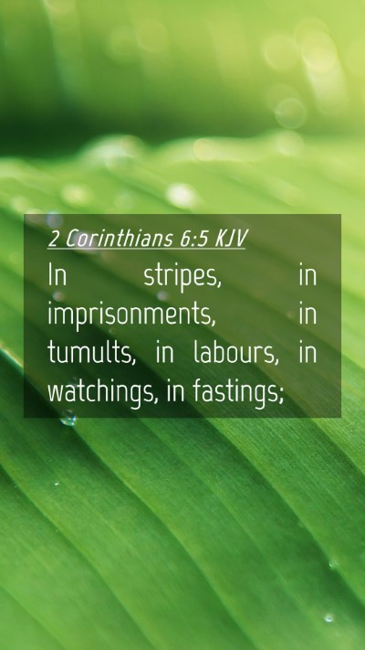 Picture 04 - 2 Corinthians 6:5 KJV Mobile Phone Wallpaper - In stripes, in imprisonments, in tumults, in - Mobile Bible Verse Wallpaper