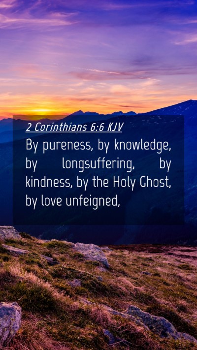 Picture 04 - 2 Corinthians 6:6 KJV Mobile Phone Wallpaper - By pureness, by knowledge, by longsuffering, by - Mobile Bible Verse Wallpaper