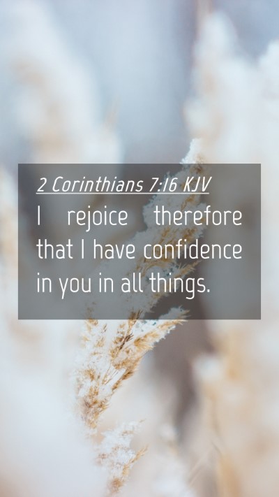 Picture 04 - 2 Corinthians 7:16 KJV Mobile Phone Wallpaper - I rejoice therefore that I have confidence in you - Mobile Bible Verse Wallpaper