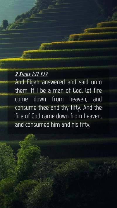 Picture 04 - 2 Kings 1:12 KJV Mobile Phone Wallpaper - And Elijah answered and said unto them, If I be a - Mobile Bible Verse Wallpaper
