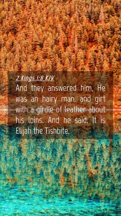 Picture 04 - 2 Kings 1:8 KJV Mobile Phone Wallpaper - And they answered him, He was an hairy man, and - Mobile Bible Verse Wallpaper
