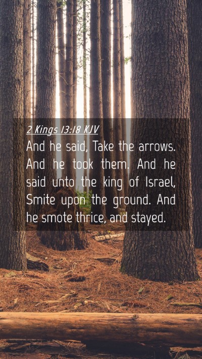 Picture 04 - 2 Kings 13:18 KJV Mobile Phone Wallpaper - And he said, Take the arrows. And he took them. - Mobile Bible Verse Wallpaper