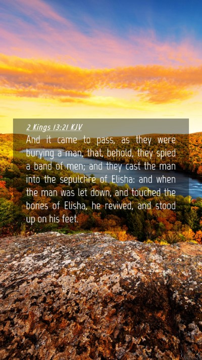 Picture 04 - 2 Kings 13:21 KJV Mobile Phone Wallpaper - And it came to pass, as they were burying a man, - Mobile Bible Verse Wallpaper