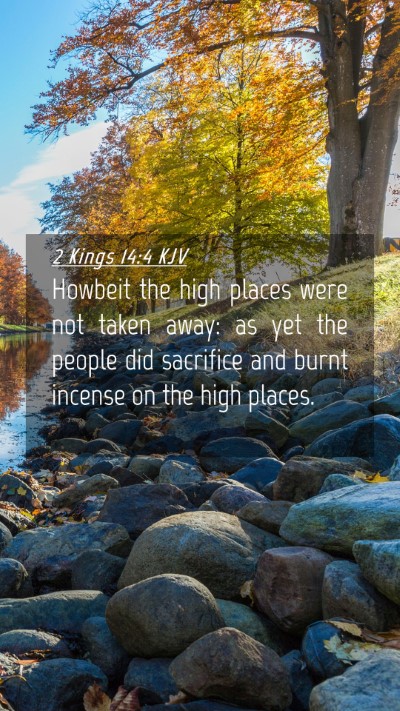 Picture 04 - 2 Kings 14:4 KJV Mobile Phone Wallpaper - Howbeit the high places were not taken away: as - Mobile Bible Verse Wallpaper