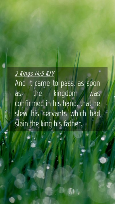 Picture 04 - 2 Kings 14:5 KJV Mobile Phone Wallpaper - And it came to pass, as soon as the kingdom was - Mobile Bible Verse Wallpaper
