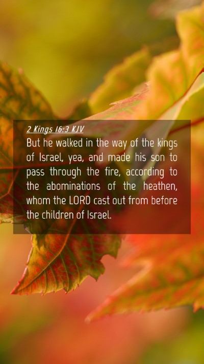 Picture 04 - 2 Kings 16:3 KJV Mobile Phone Wallpaper - But he walked in the way of the kings of Israel, - Mobile Bible Verse Wallpaper