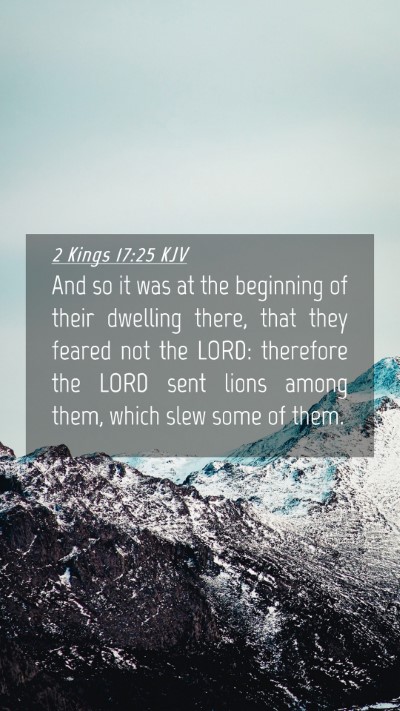 Picture 04 - 2 Kings 17:25 KJV Mobile Phone Wallpaper - And so it was at the beginning of their dwelling - Mobile Bible Verse Wallpaper