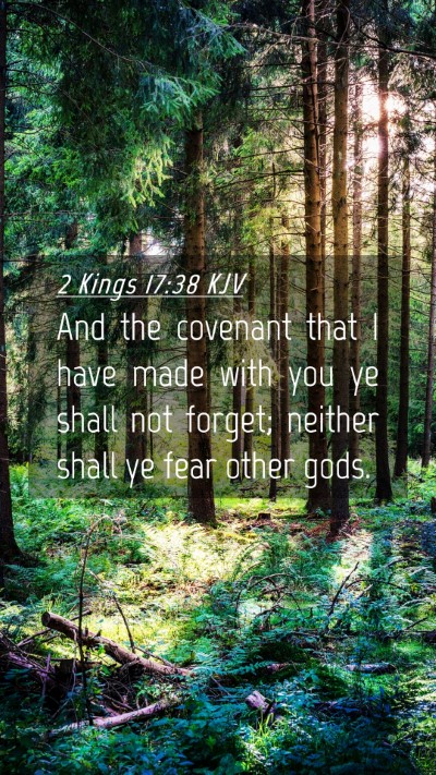 Picture 04 - 2 Kings 17:38 KJV Mobile Phone Wallpaper - And the covenant that I have made with you ye - Mobile Bible Verse Wallpaper