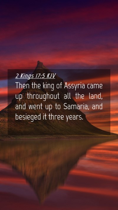 Picture 04 - 2 Kings 17:5 KJV Mobile Phone Wallpaper - Then the king of Assyria came up throughout all - Mobile Bible Verse Wallpaper