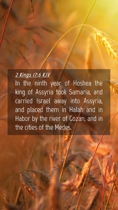Picture 04 - 2 Kings 17:6 KJV Mobile Phone Wallpaper - In the ninth year of Hoshea the king of Assyria - Mobile Bible Verse Wallpaper