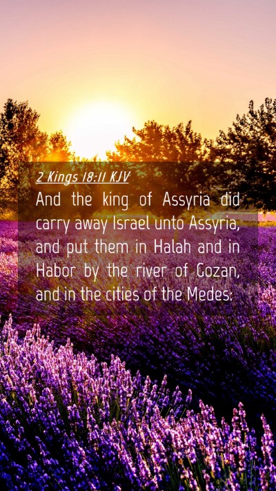 Picture 04 - 2 Kings 18:11 KJV Mobile Phone Wallpaper - And the king of Assyria did carry away Israel - Mobile Bible Verse Wallpaper