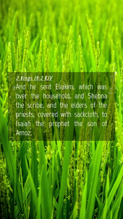 Picture 04 - 2 Kings 19:2 KJV Mobile Phone Wallpaper - And he sent Eliakim, which was over the - Mobile Bible Verse Wallpaper